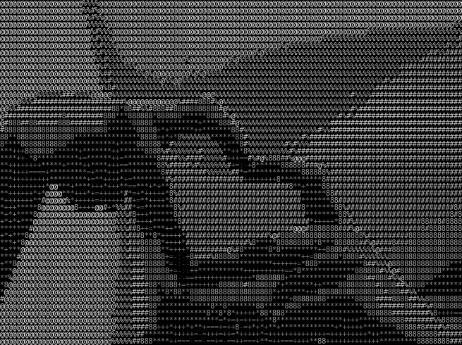 ASCII webcam art